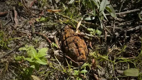 Дві старі гранати знайшли в Ужгороді та біля Геївців: де саме