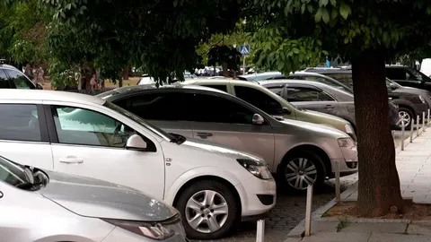 В Ужгороді з’являться ще 110 платних паркомісць: що відомо
