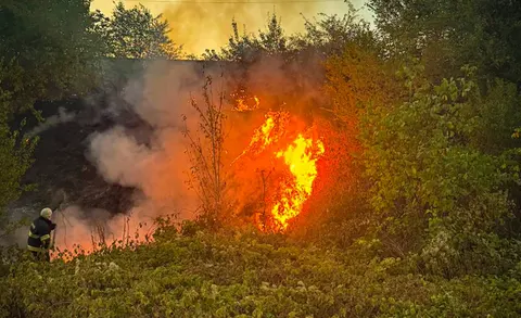 За вихідні на Закарпатті горіло 18 разів: найбільше — на Ужгородщині та Берегівщ