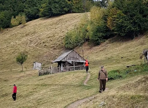 На Закарпатті знайшли загиблим 78-річного грибника, який зник біля Лисичова