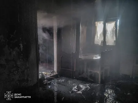 У Крайниковому вогонь пошкодив 60 квадратів будинку, поки господарів не було вдома