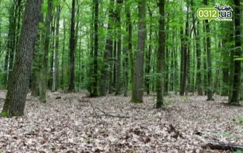 На Хустщині з річки дістали тіло грибника, якого кілька днів шукали