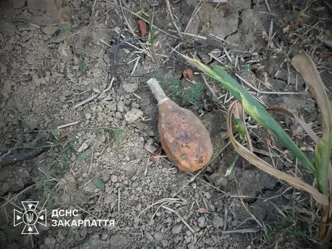 На Ужгородщині знешкодили дві гранати часів Другої світової війни