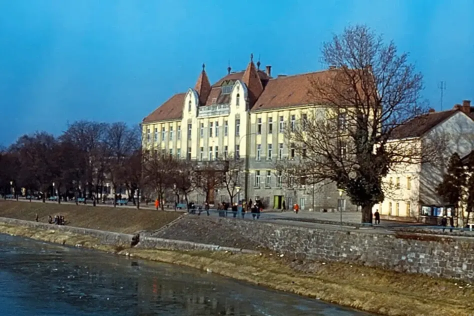 Приватний ліцей «Гірчичне зерно» очолив рейтинг шкіл Ужгорода за результатами НМТ