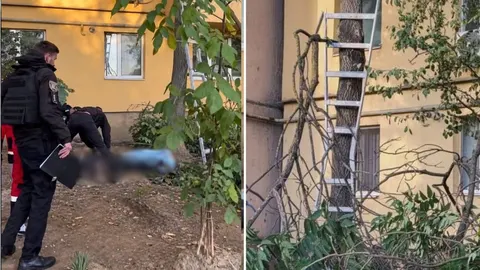 В Ужгороді на Чорновола загинув 74-річний чоловік: впав з драбини під час обріза