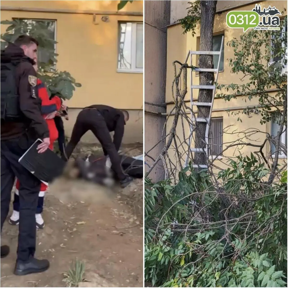 В Ужгороді на Чорновола загинув чоловік: упав з драбини під час обрізання дерев