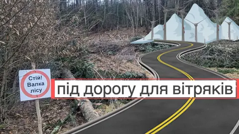 Суд скасував дозвіл на рубку лісу під дорогу для вітропарку на полонині Руна