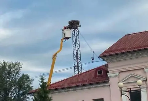 У Сваляві залізничники знесли 40-річне гніздо лелек: громада вимагає відповідей