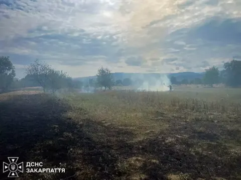 На Закарпатті з початку року сталося 1767 пожеж в екосистемах