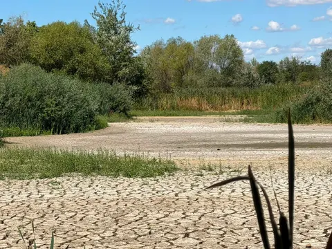 В Ужгороді пересохло Чорне озеро на Єньківській: що відбувається
