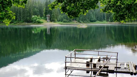 Поліція перевіряє відео з купанням у Синевирі: шукають двох відвідувачів