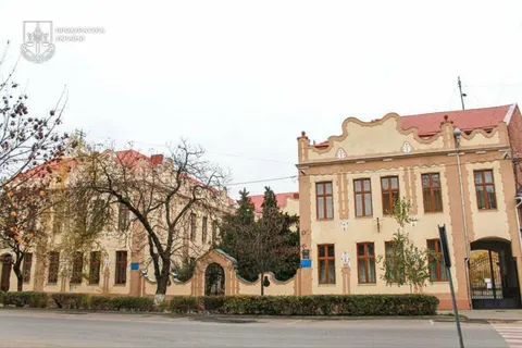 Берегівська міськрада через суд укладає охоронні договори на школи-пам'ятки