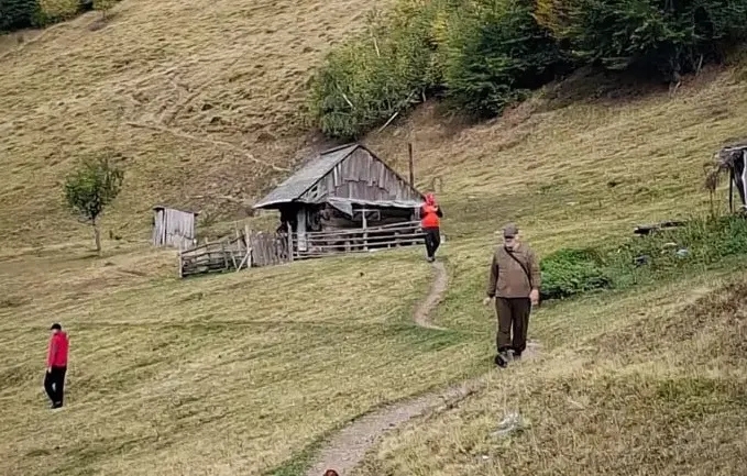 На Рахівщині другу добу шукають 71-річного грибника