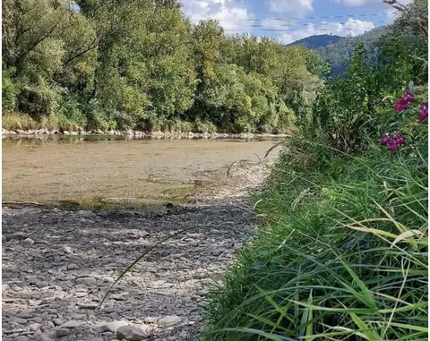 На Закарпатті підприємствам обмежили забір води з річок до вересня 2026 року