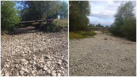 На Закарпатті до 30 вересня 2026 року обмежили забір води з річок для підприємств
