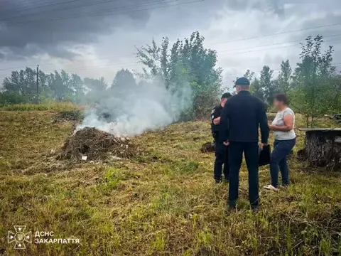 У Тячеві жінка палила суху траву: рятувальники склали протокол