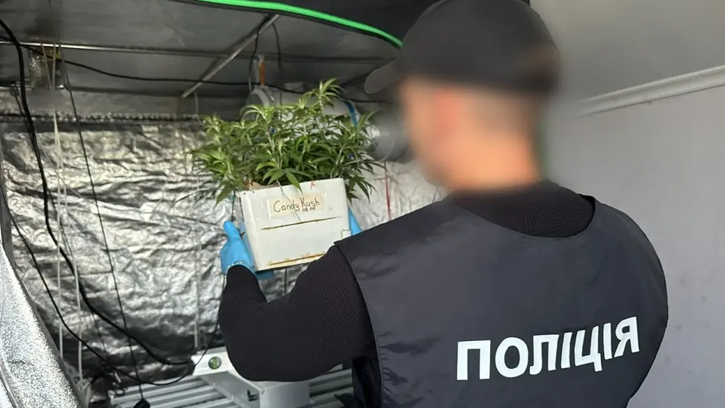 На Закарпатті затримали чотирьох підозрюваних у наркоторгівлі: вилучено понад пів кілограма канабісу