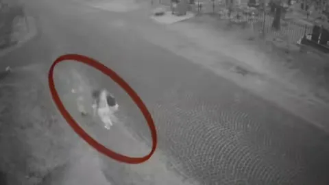 У Виноградові двох жінок підозрюють у нарузі над могилою: вкрали квіти для «подарунка» вчительці